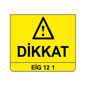 EİG 12-1
