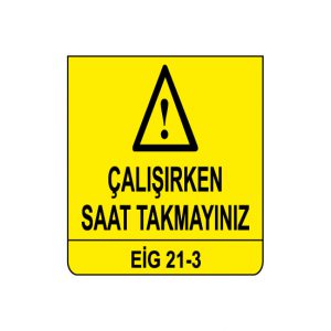 EİG 21-3