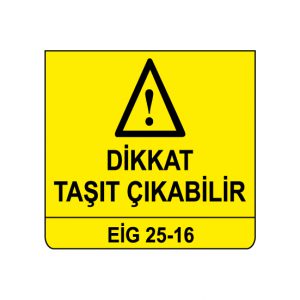 EİG 25-16
