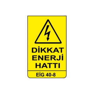 EİG 40-8
