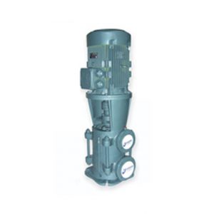 VKD 40 (3000d/d) Dik Milli Kademeli Pompalar - Yangin Pompalari görseli